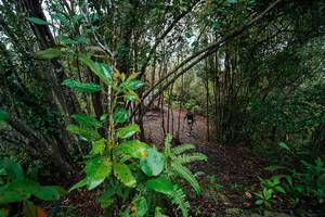 BIB: 
                            <button type="button" onclick="openModal(26196438)" class="btn btn-primary btn-sm float-right btn-popup" data-toggle="modal" data-target=".modal-high-quality">
                        <i class="fas fa-shopping-cart"></i> Add to Cart
                    </button>
                                            <button type="button" onclick="isThisMe(26196438, true)" class="btn btn-success btn-sm float-right btn-popup btn-isme hidden" data-toggle="tooltip" data-placement="bottom" title="นี่คือรูปของคุณใช่ไหม คลิกที่นี่เพื่อเอาเข้าอัลบั้ม">
                        <i class="fas fa-plus"></i> Add to album
                    </button>
                    <button type="button" onclick="isThisMe(26196438, false)" class="btn btn-warning btn-sm float-right btn-popup btn-isnotme hidden">
                        <i class="fas fa-ban"></i> Remove from album
                    </button>